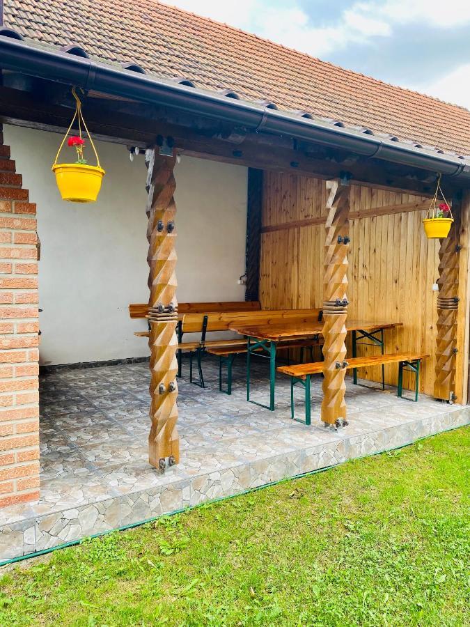 Hotel Casa Victoria Cîrţişoara Exterior foto